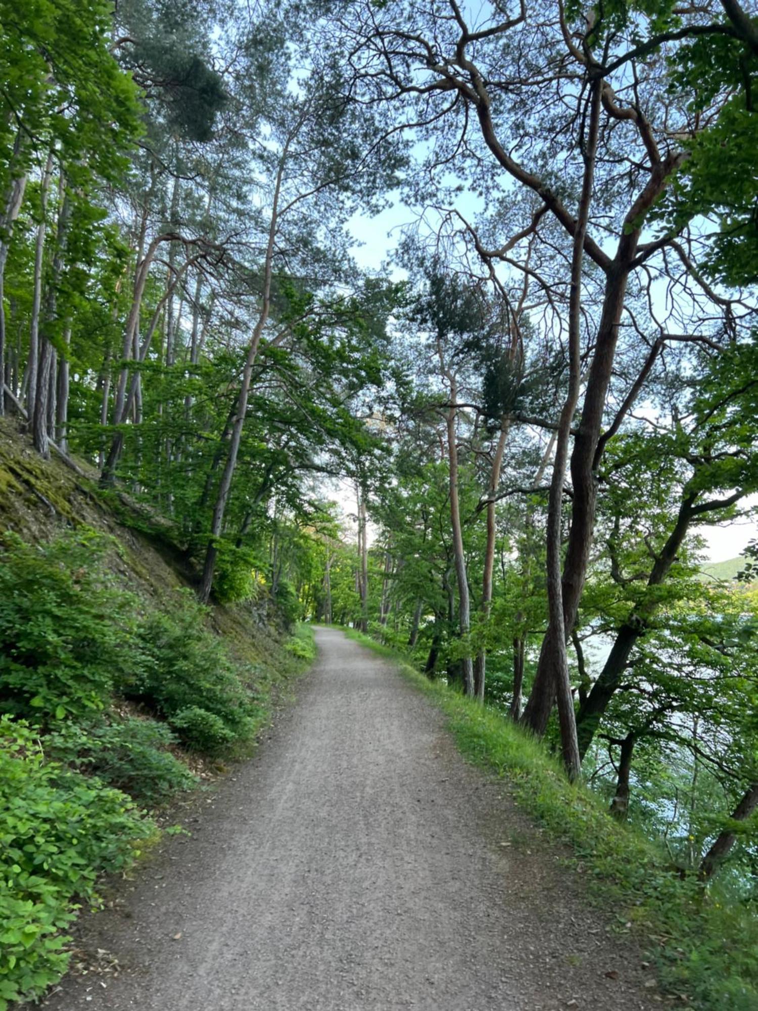 Bergschloesschen Edersee Waldeck  Exterior photo